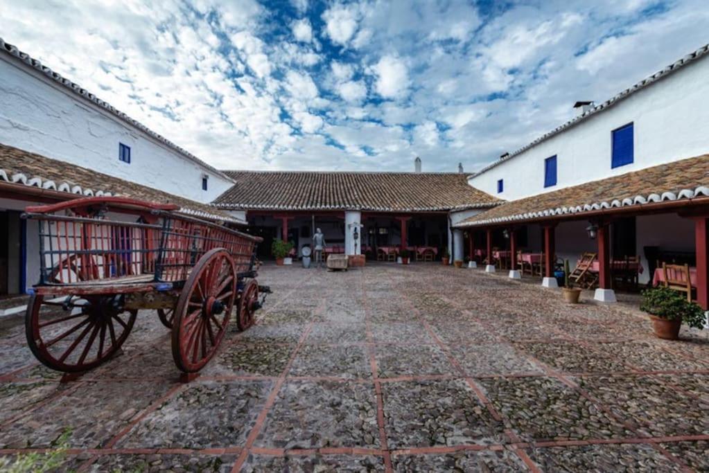 1B-Precioso Apartamento En Pleno Centro. A Estreno Alcazar de San Juan Eksteriør bilde